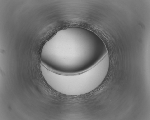 X0000090970916200708021139