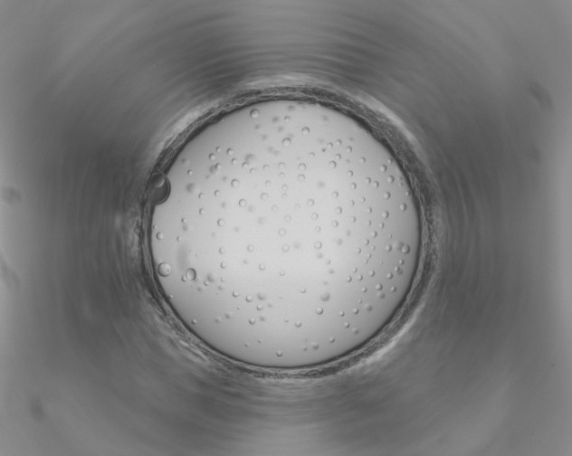 X0000090970921200708021139