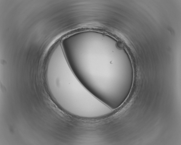 X0000090970923200708021139