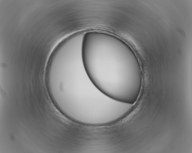 X0000090970924200708021139