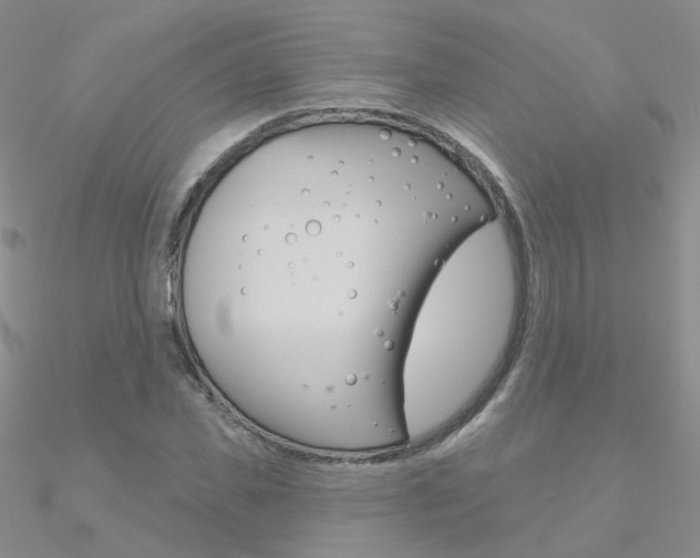 X0000090970925200708021139