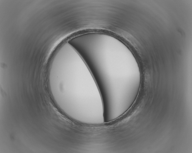 X0000090970926200708021139