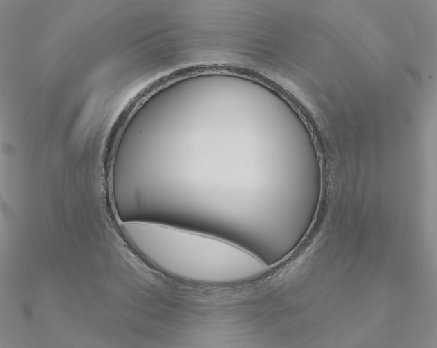 X0000090970927200708021139