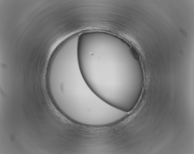 X0000090970928200708021139