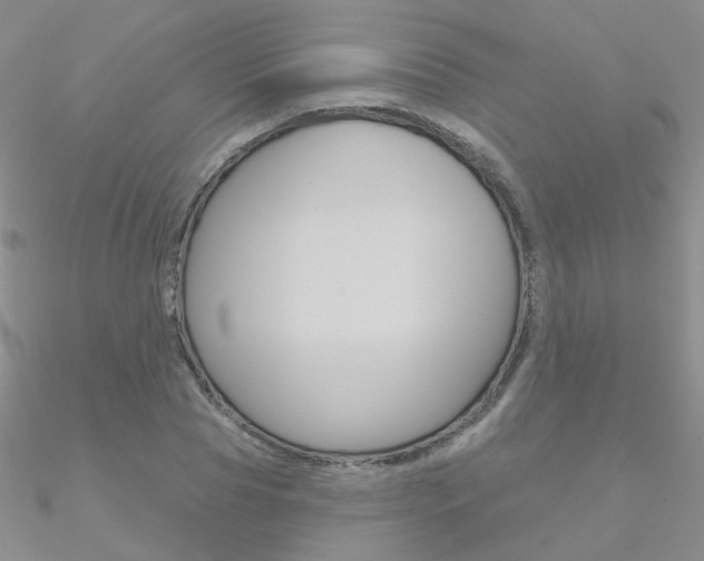 X0000090970929200708021139