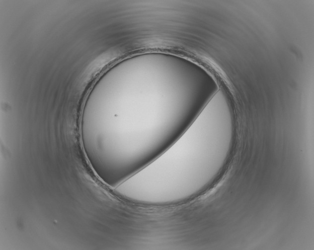 X0000090970930200708021139