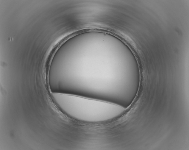 X0000090970931200708021139