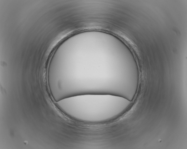 X0000090970933200708021139