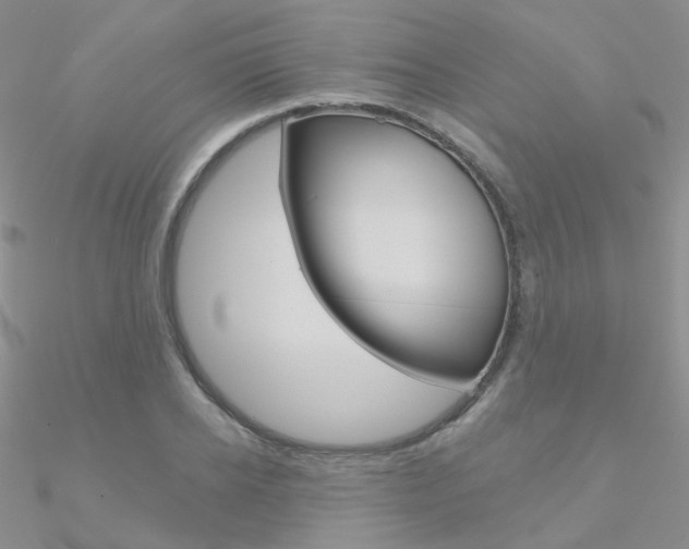 X0000090970934200708021139