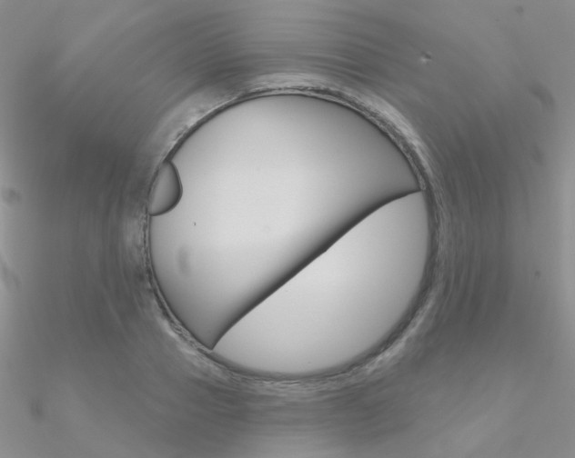 X0000090970937200708021139