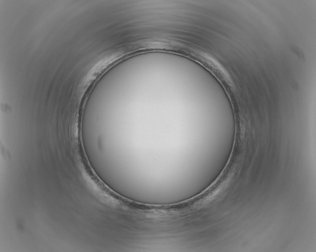 X0000090970938200708021139