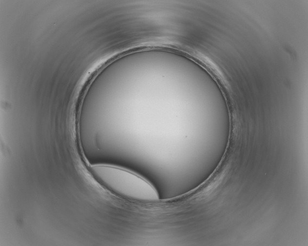 X0000090970939200708021139