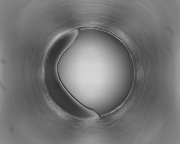X0000090970940200708021139