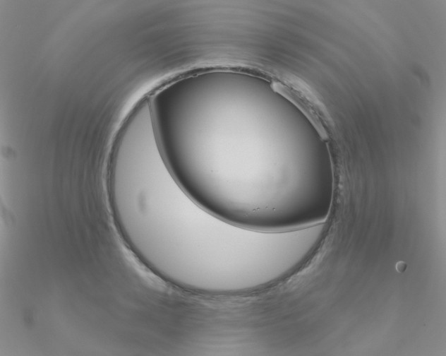 X0000090970942200708021139
