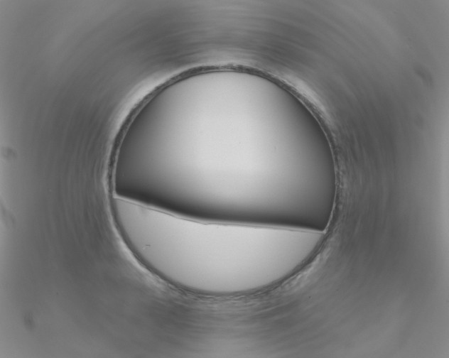 X0000090970943200708021139