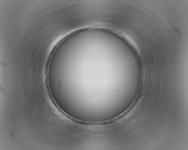 X0000090970944200708021139