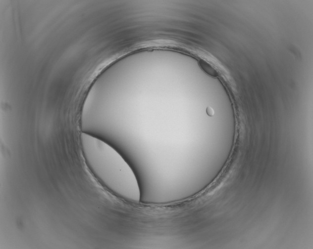 X0000090970945200708021139