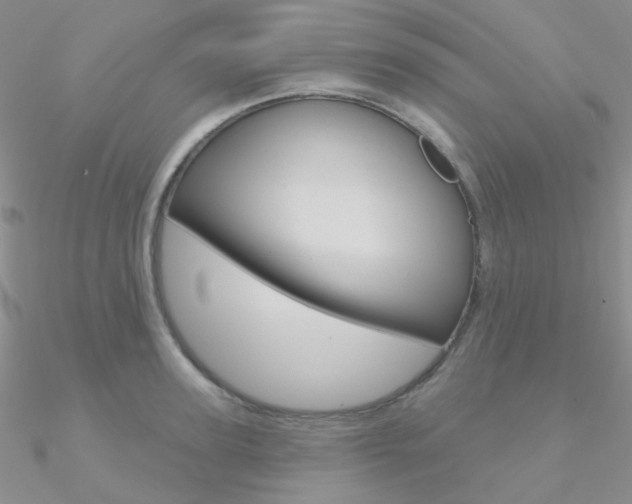 X0000090970947200708021139