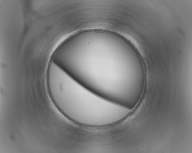 X0000090970949200708021139