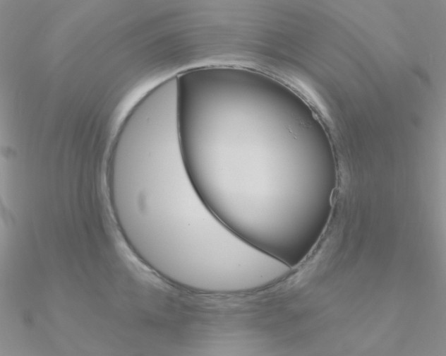 X0000090970952200708021140
