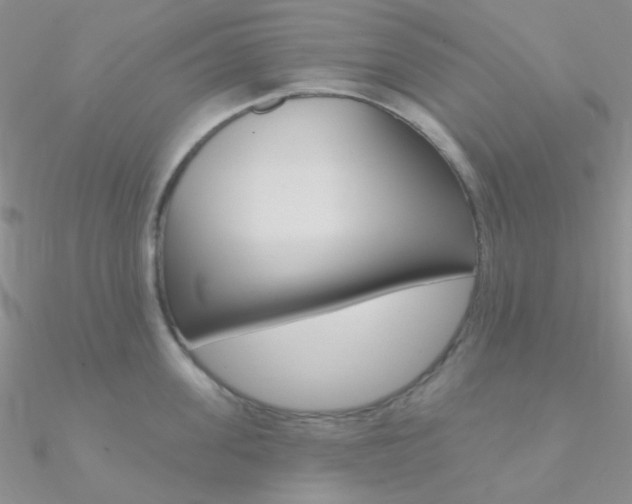 X0000090970955200708021140