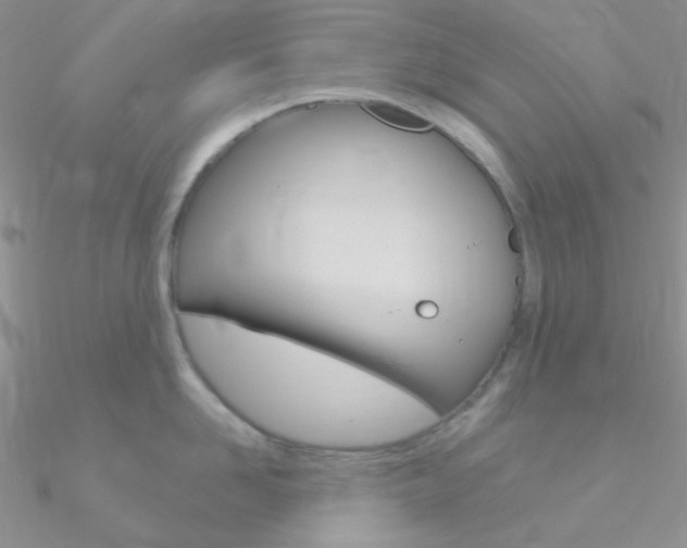 X0000090970958200708021140