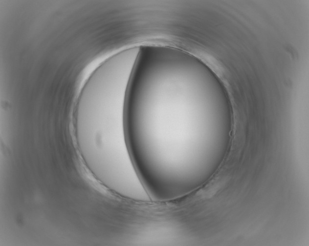 X0000090970960200708021140