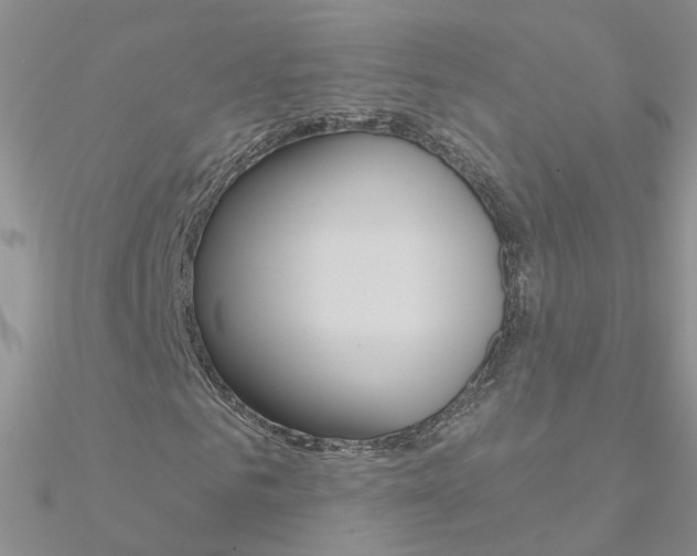 X0000090970961200708021139