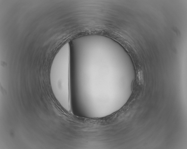 X0000090970963200708021139