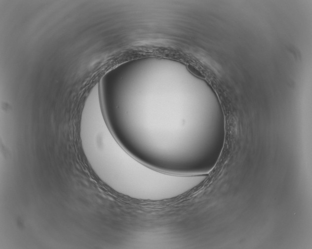 X0000090970965200708021139