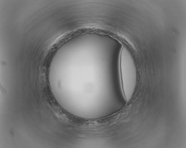X0000090970968200708021139
