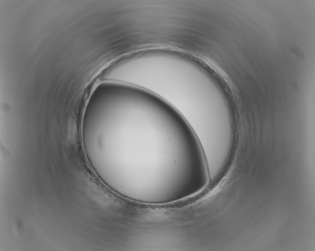 X0000090970969200708021139