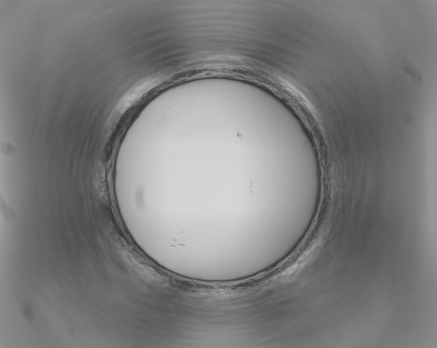 X0000090970970200708021139