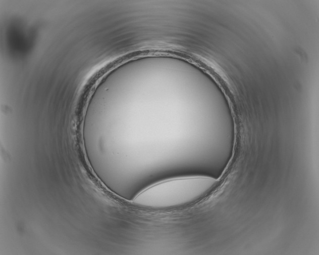 X0000090970971200708021139