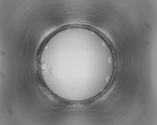 X0000090970974200708021139