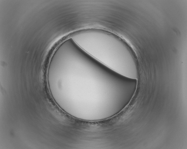 X0000090970975200708021139