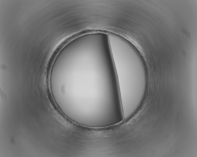 X0000090970976200708021139