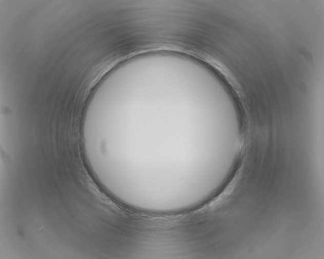 X0000090970977200708021139