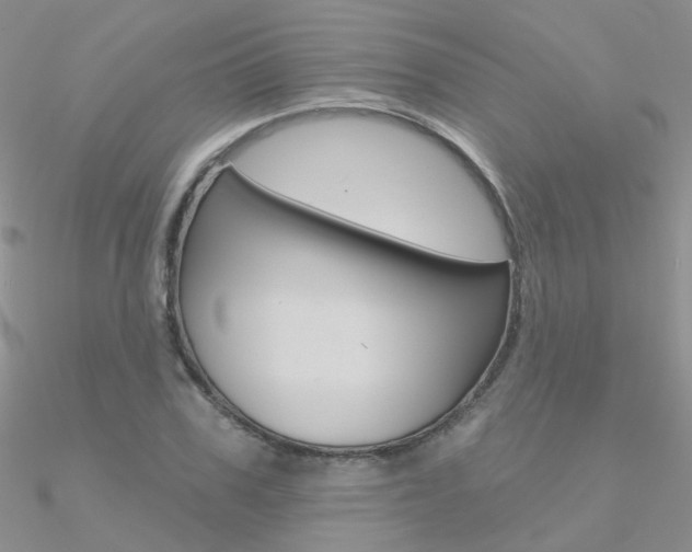 X0000090970979200708021139