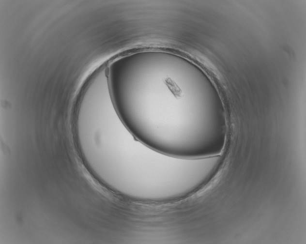 X0000090970981200708021139