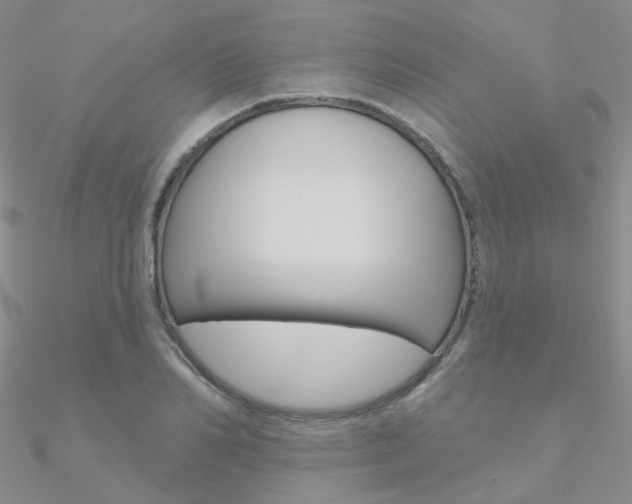 X0000090970982200708021139