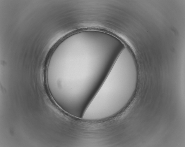 X0000090970983200708021139