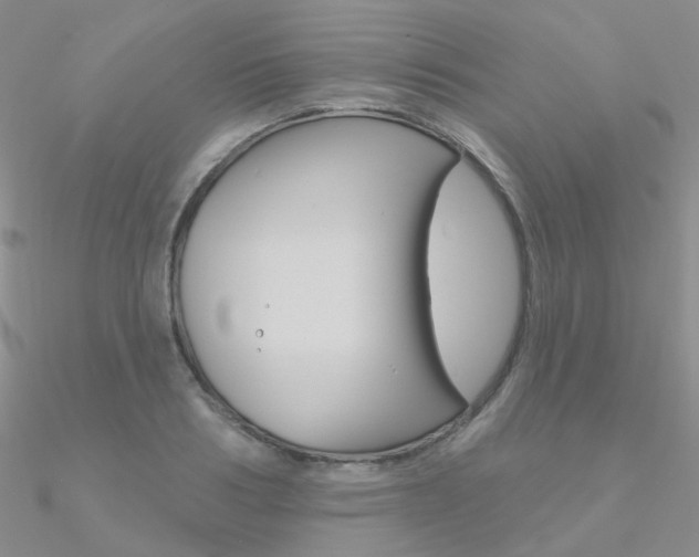 X0000090970986200708021139