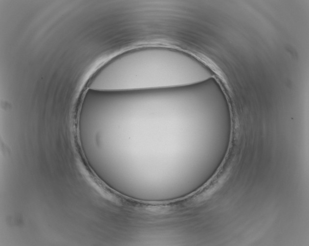 X0000090970989200708021138