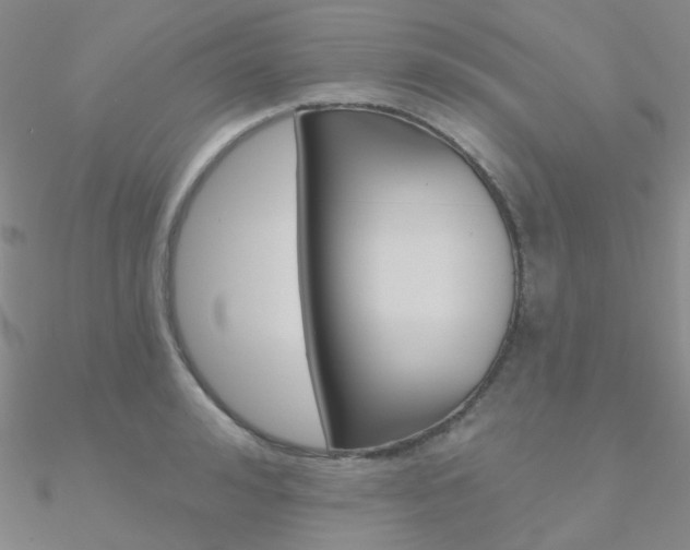 X0000090970992200708021138