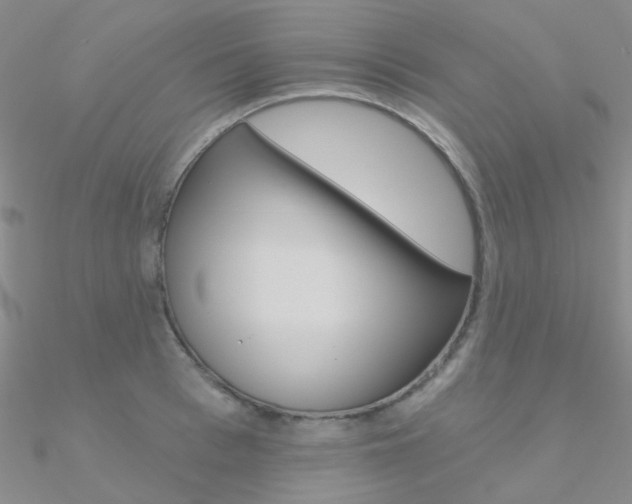X0000090970993200708021138