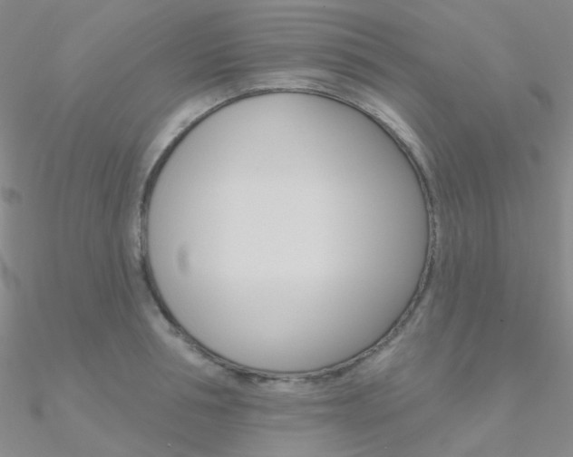 X0000090970994200708021138