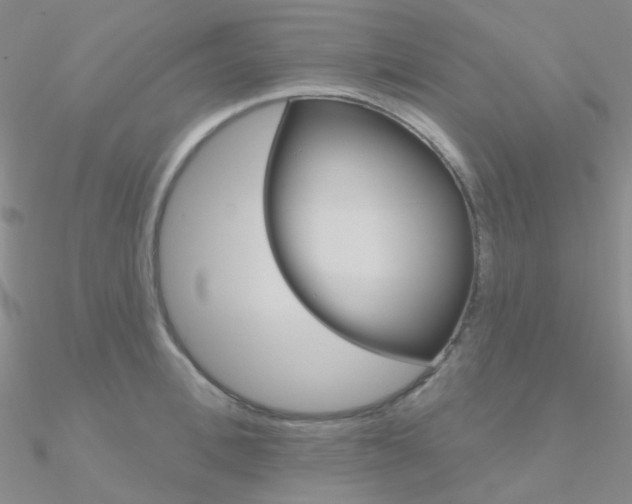 X0000090970996200708021138