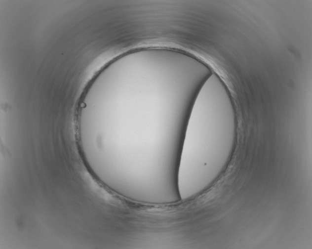 X0000090970998200708021138
