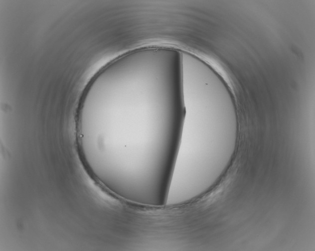X0000090970999200708021138